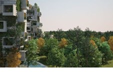 Kế hoạch xây dựng “Thành phố rừng” chống lại ô nhiễm không khí tại Trung Quốc